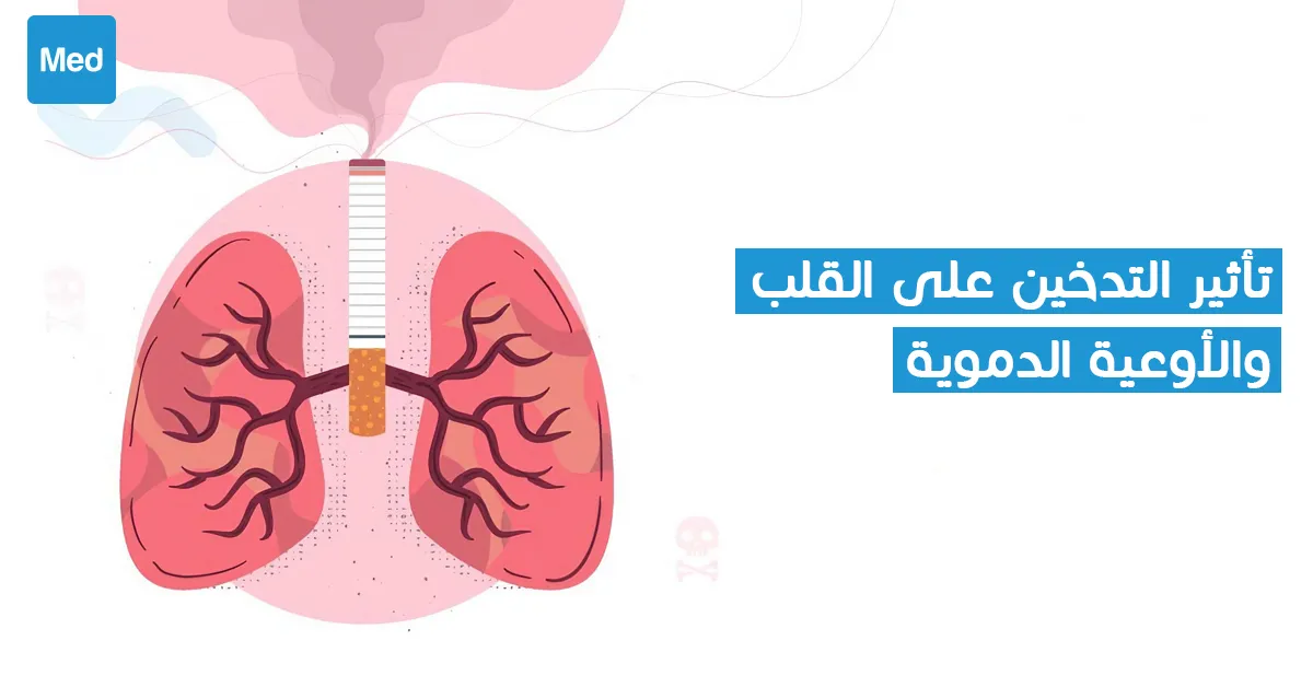 تأثير التدخين على القلب والأوعية الدموية